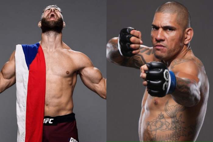 UFC 295 headliners Jiri Prochazka and Alex Pereira.